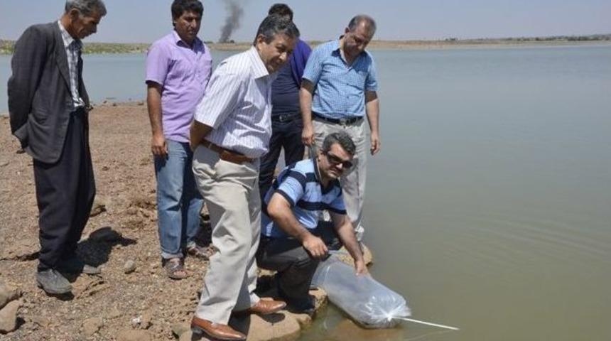 Viranşehir Kaymakamı Citer Kışla Ve Kale Mahallelerini Ziyaret Etti&rlm;