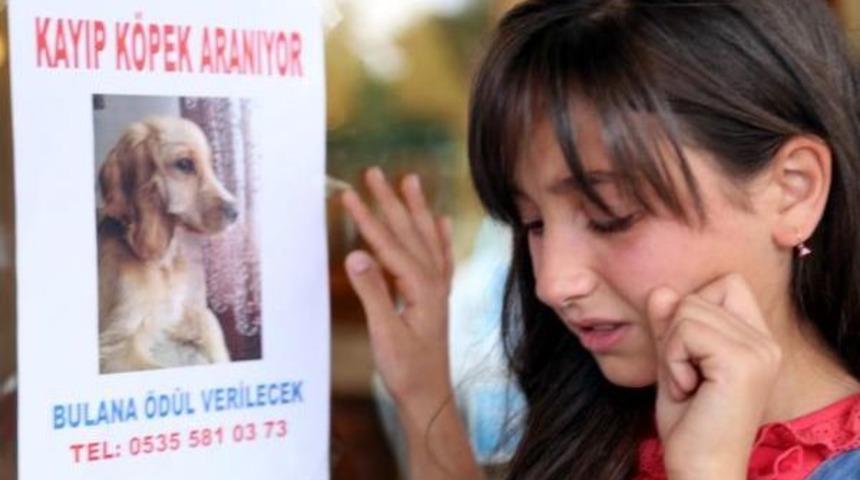 K&uuml;&ccedil;&uuml;k Lana Kayıp K&ouml;peği 'roni' I&ccedil;in Ağlıyor