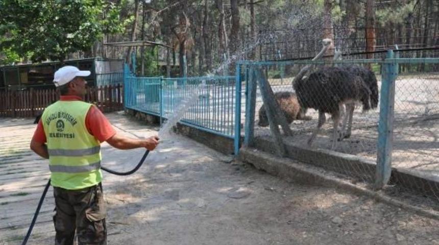 Sıcaktan Bunalan Hayvanlar Hortumla Serinletildi