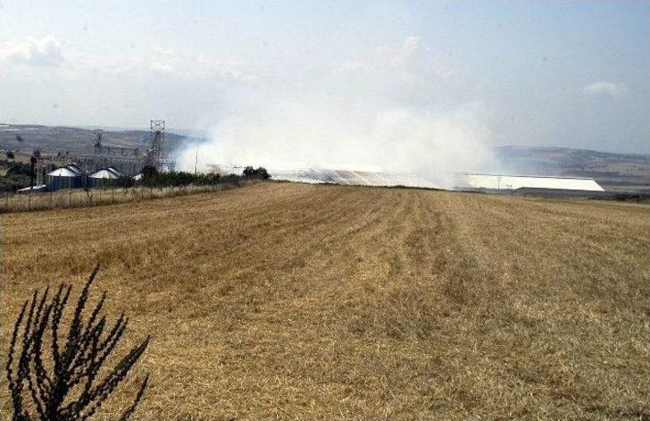 Yıldırım Ailesinin Çiftliği Yandı G1