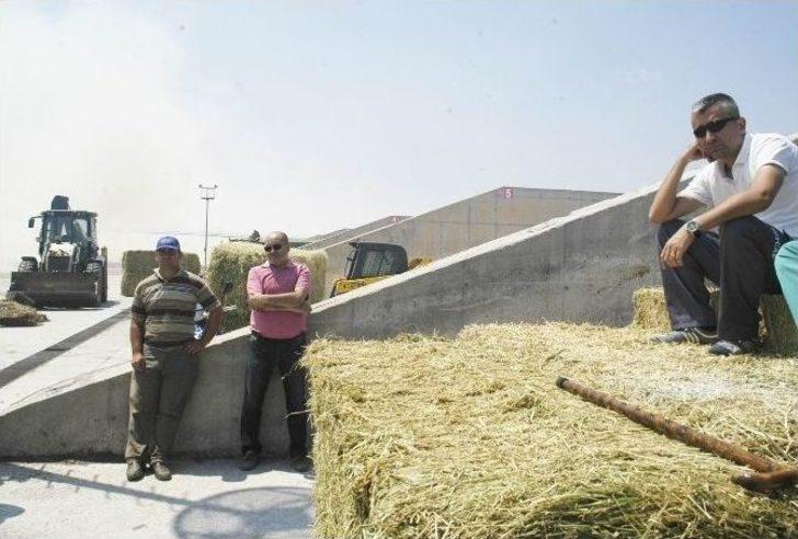 Yıldırım Ailesinin Çiftliği Yandı G4