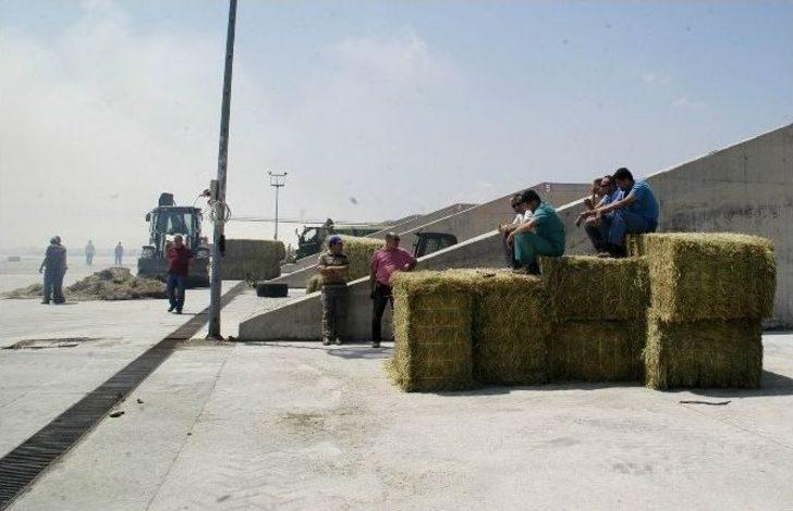 Yıldırım Ailesinin Çiftliği Yandı G5