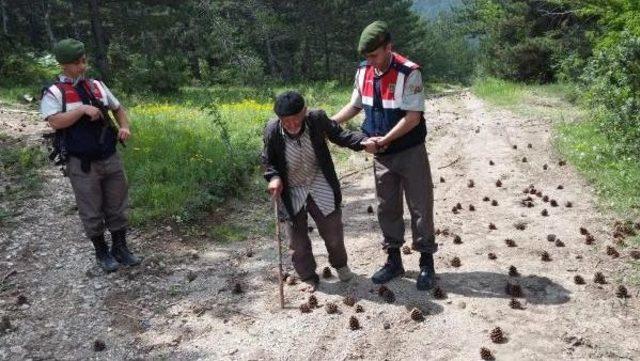 Mantar Toplamaya Gittiği Ormanda Kayboldu, 25 Saat Sonra Bulundu