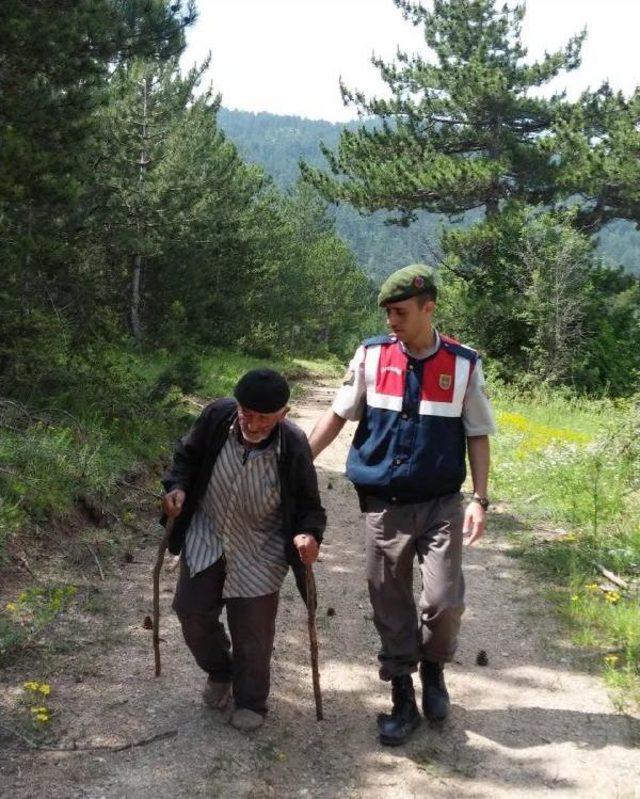 Mantar Toplamaya Gittiği Ormanda Kayboldu, 25 Saat Sonra Bulundu