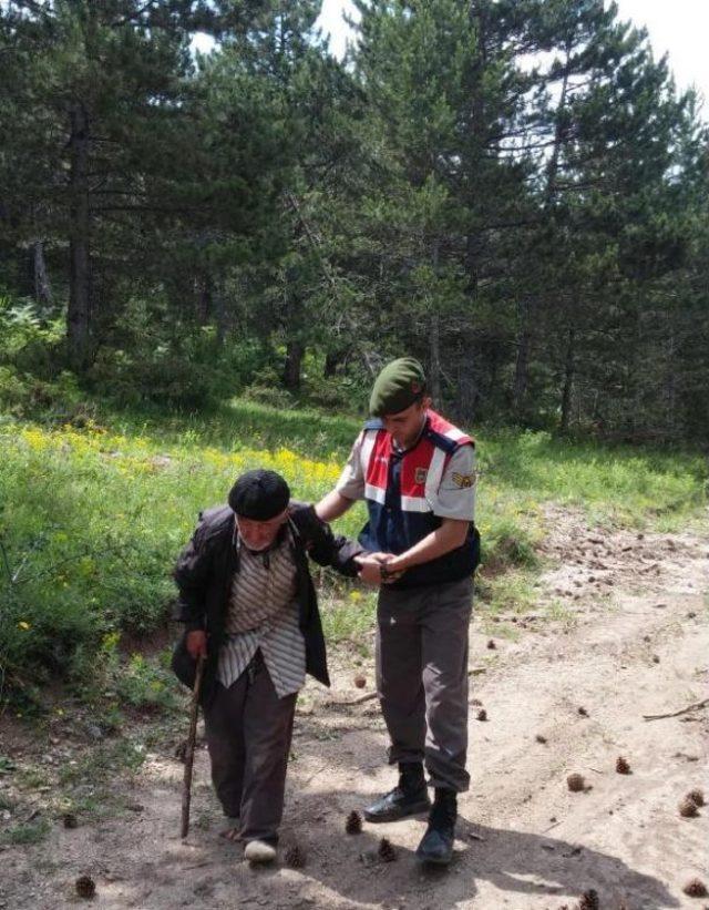 Mantar Toplamaya Gittiği Ormanda Kayboldu, 25 Saat Sonra Bulundu