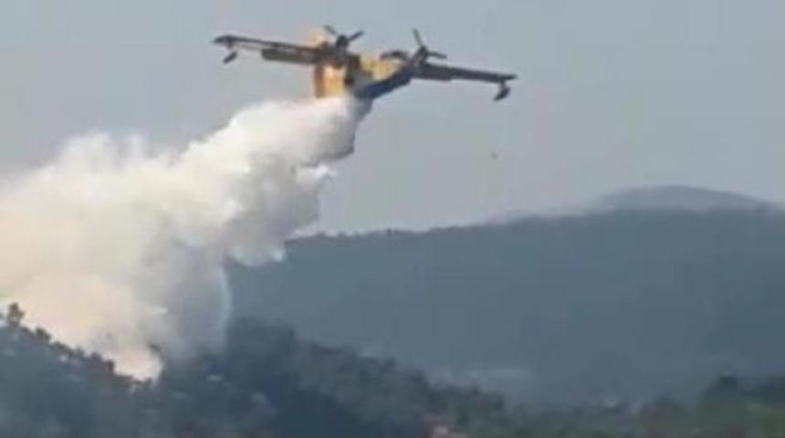 Milas'ta Orman Yangını