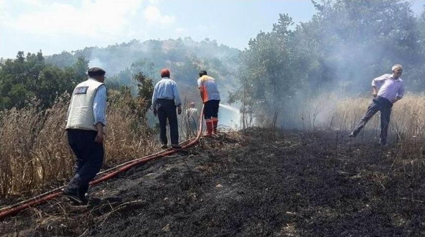 Koyulhisar’da Ekili Tarlalar Yandı