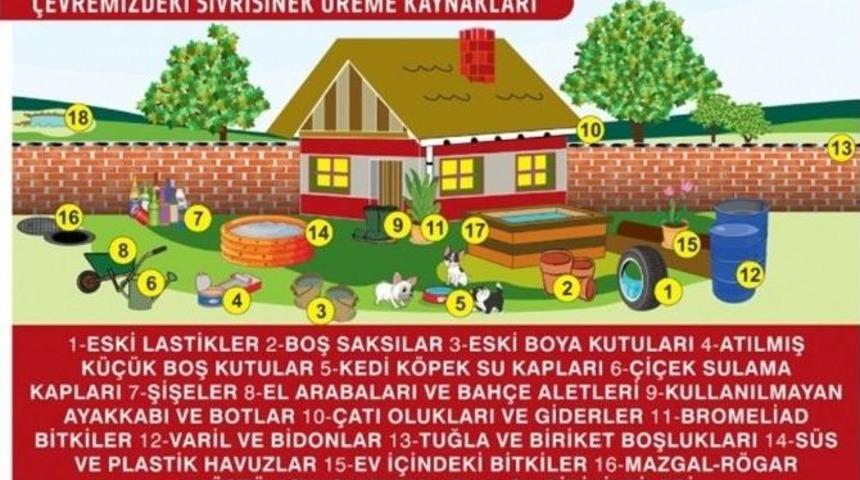 Edirne&rsquo;de Sivrisinekle &lsquo;alman Usul&uuml;&rsquo; M&uuml;cadele Ediliyor