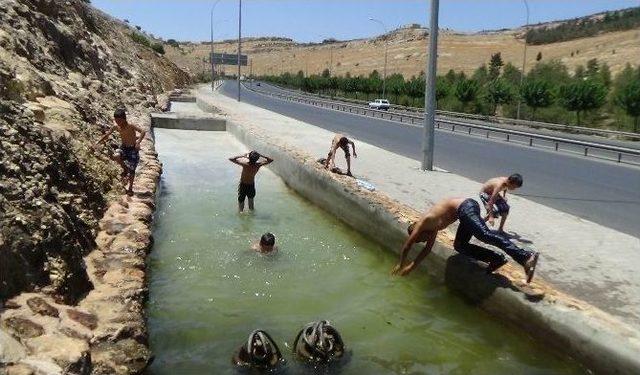 Çocukların Karayolunda Tehlikeli Serinliği