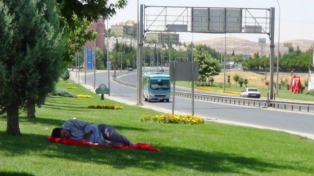 Çocukların Karayolunda Tehlikeli Serinliği