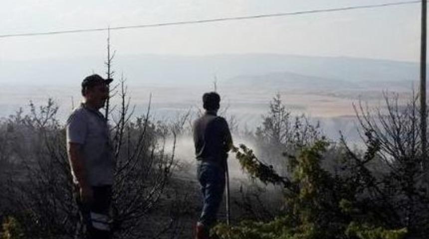 Raylardan &Ccedil;ıkan Kıvılcım Ormanı Yaktı