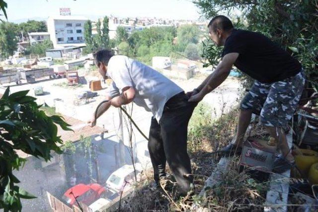 İzmir'de Sanayi Sitesinde Yangın (2)