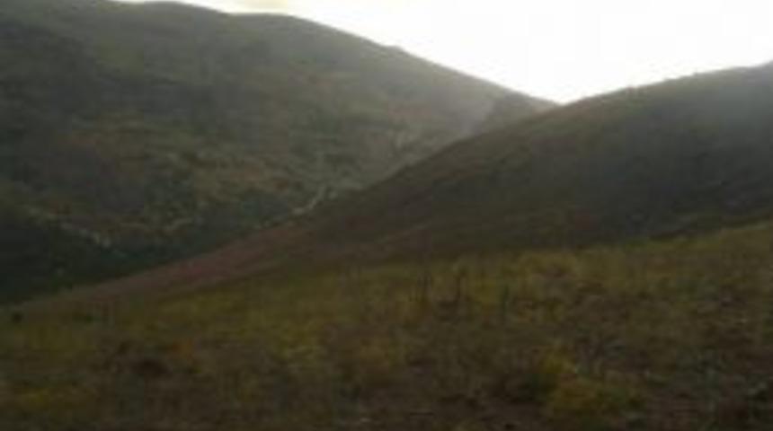 Koyunlarını Otlatan &Ccedil;oban Dağda &Ouml;l&uuml; Bulundu