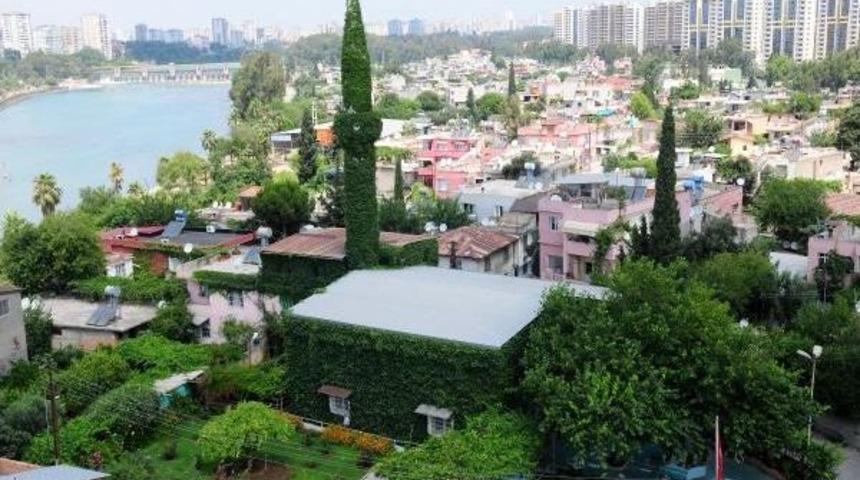 Botanik Bah&ccedil;esi Gibi Cami