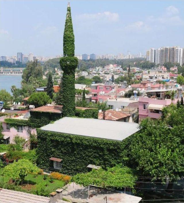 Botanik Bahçesi Gibi Cami