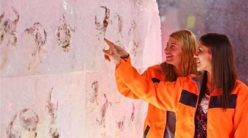 First Ice Sculpture Museum In Antalya