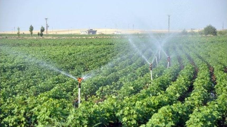 Aşırı Sıcak Hava Ve Elektrik Kesintisi &Ccedil;ift&ccedil;iyi Vurdu
