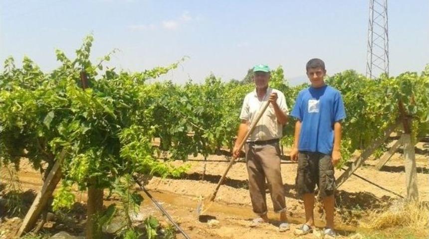 &Uuml;z&uuml;m &Uuml;reticilerine Sulama Desteği