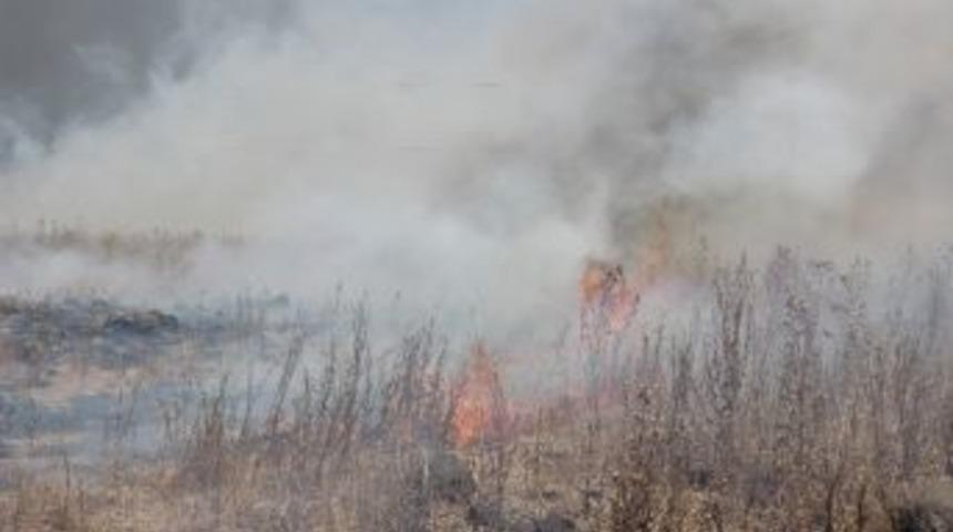 Diyarbakır&rsquo;da &Ccedil;ıkan Anız Yangını Binadaki Vatandaşları Korkuttu