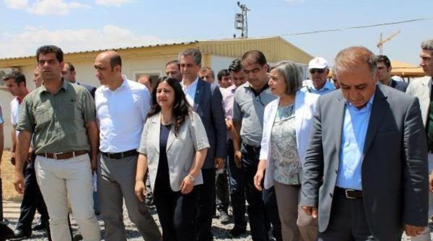 Diyarbakır'da Fidan Diken Hdp'li Milletvekili Ve Başkanlara Taşlı Saldırı