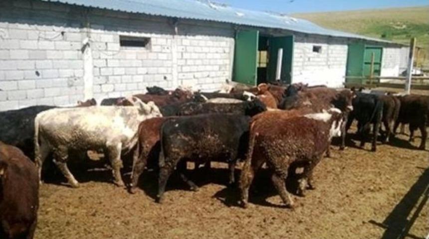 Altuner&rsquo;den Besi &Ccedil;iftliklerine Ziyaret