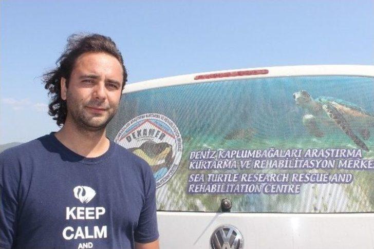 Akyaka Sahiline Ölü Yunus Vurdu G4