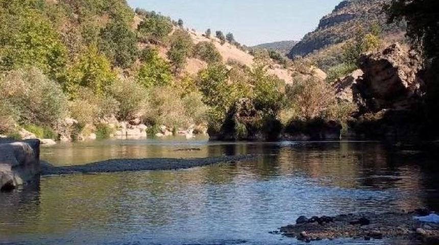 &Ccedil;evrecilerden Silvan Barajı'na Karşı Eylem &Ccedil;ağrısı