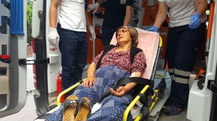 Bisikletin Çarptığı Yaya Yaralandı