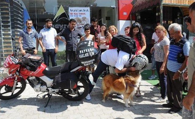 Mersin’den Bakü’ye Hayvan Hakları Köprüsü