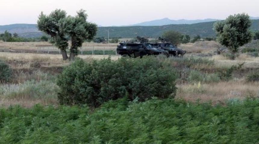 Diyarbakır'da Uyuşturucu Tarlalarına Operasyon