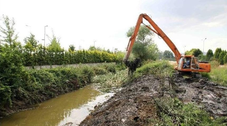 İzmit Ve Kartepe Dereleri Temizleniyor
