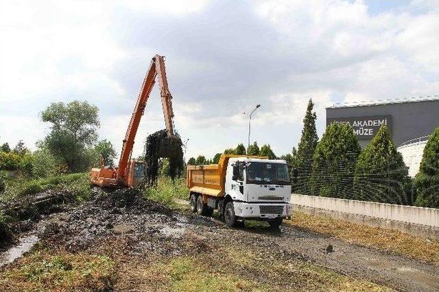 İzmit Ve Kartepe Dereleri Temizleniyor