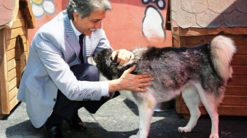 Mustafa Demir: &ldquo;barınak Baskını Adi Bir Olay&rdquo;