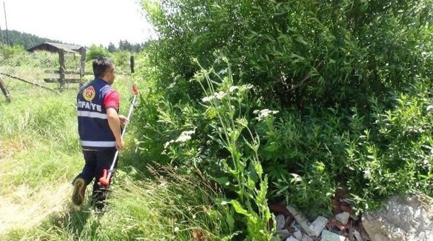 Bolu&rsquo;da Evin Bah&ccedil;esinde Yılan Paniği