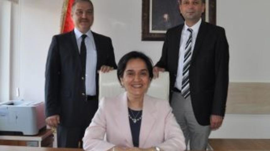 D&uuml;zce&rsquo;de Ki Doktorlar Yaptı