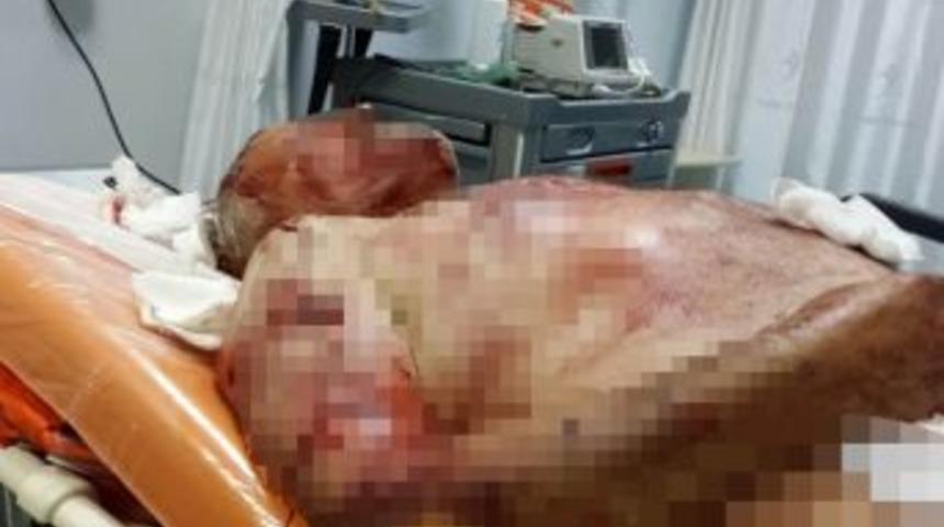 Samsun&rsquo;da K&ouml;pek Dehşeti