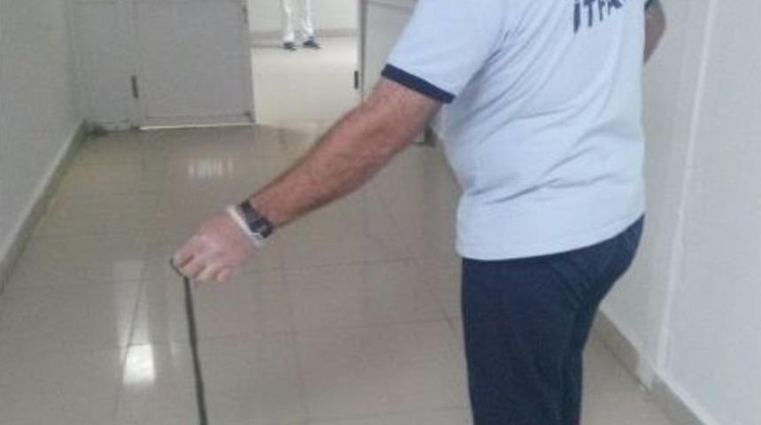 Hastanede "yılan" Operasyonu