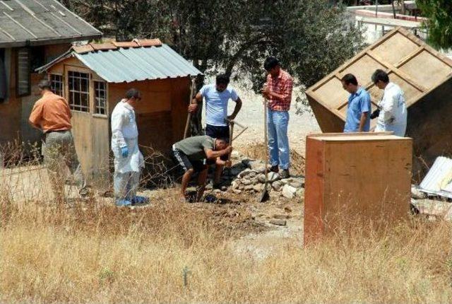 Yargıtay, Çiftlik Cinayetleri Davasını Usulden Bozdu