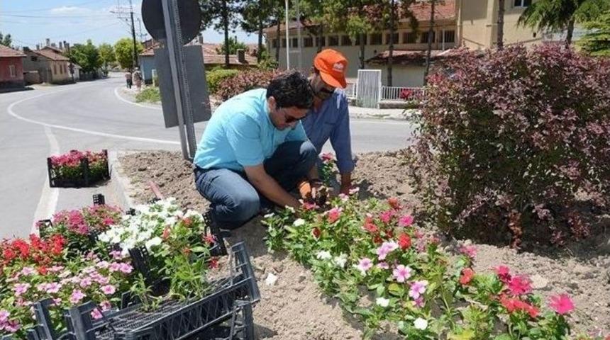 Seyitgazi&rsquo;de Bayram Seferberliği