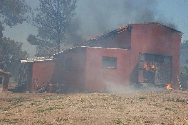 Çanakkale’de Hayvan Çiftliğinde Yangın