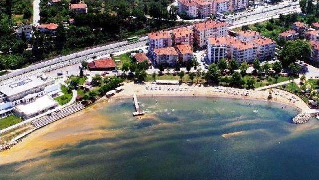 İzmit Körfezi'ndeki Kırmızı Renkli Köpük Için Farklı Açıklamalar