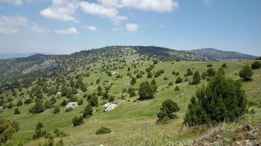 Dinar&rsquo;da Orman Rehabilitasyon &Ccedil;alışmaları