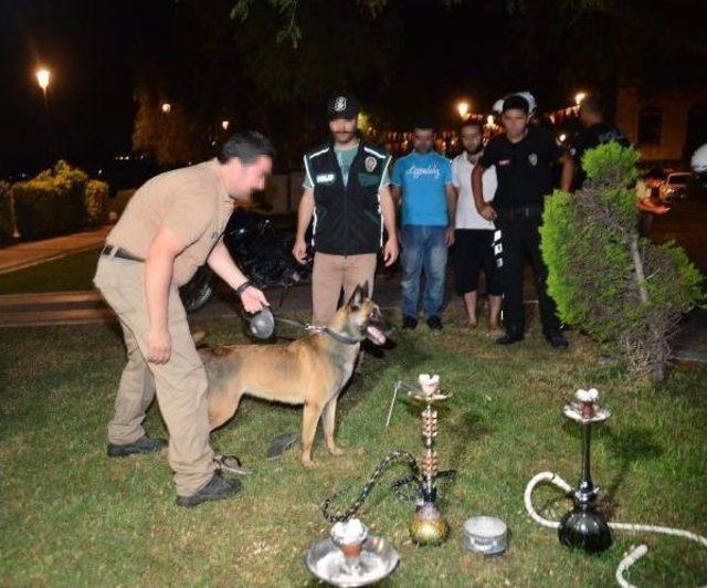 Narkotim Ekiplerinden Parklarda Uyuşturucu Uygulaması