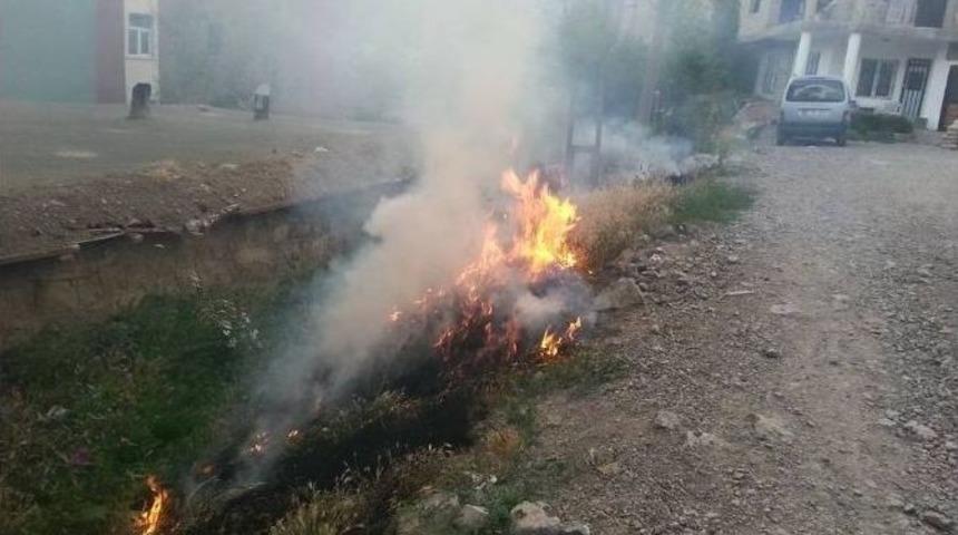 Kuruyan Otlar Alev Alev Yandı