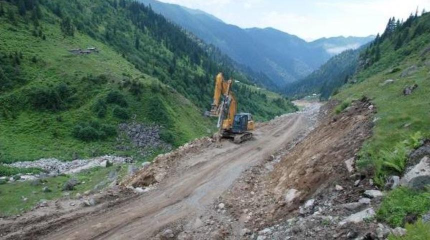 Trees Cut In Turkey's Northeast Highlands Despite Court Ruling