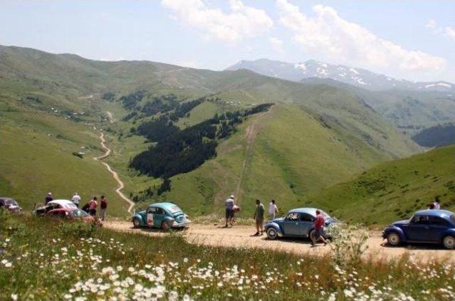 Başkan Yılmaz: Ordu'da Yeşil Yol'da Doğa Tahribatı Yok