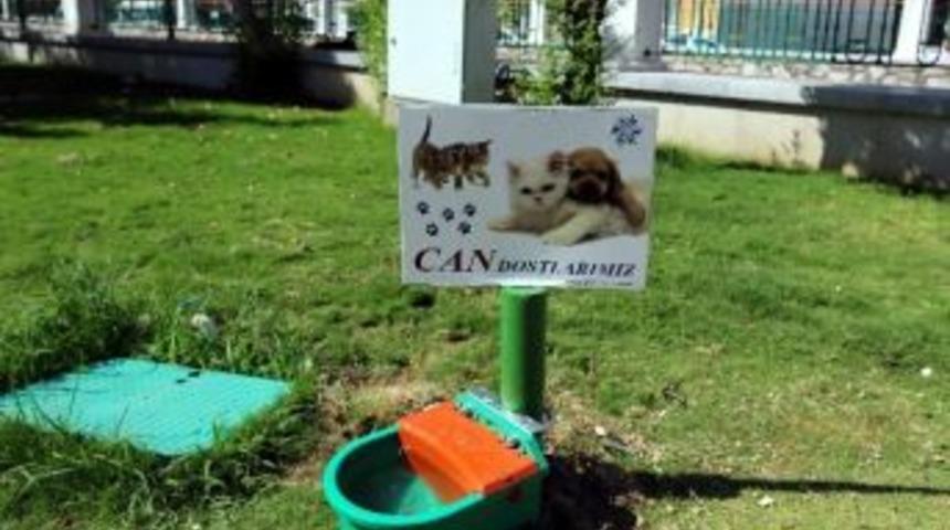 B&uuml;y&uuml;kşehir Sokak Hayvanlarını Unutmadı