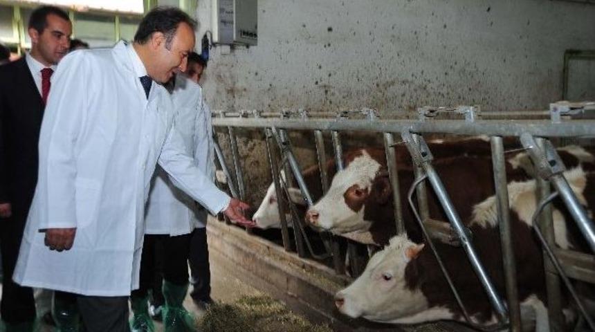 Dap Ve &Ccedil;ift&ccedil;i &Ouml;rg&uuml;tlerinden &Ccedil;ift&ccedil;ilere Bedelsiz Proje Desteği