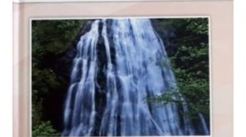 Sonu&ccedil;lar Kitap Haline Getirildi