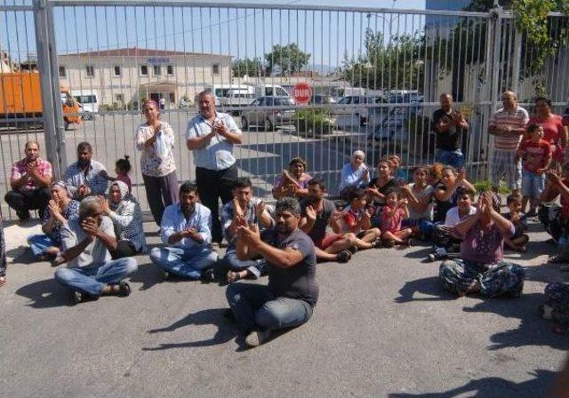 Romanlardan, Çiçek Sattırmayan Zabıtaya Protesto